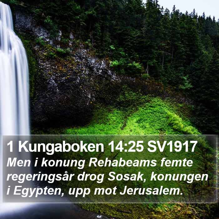 1 Kungaboken 14:25 SV1917 Bible Study