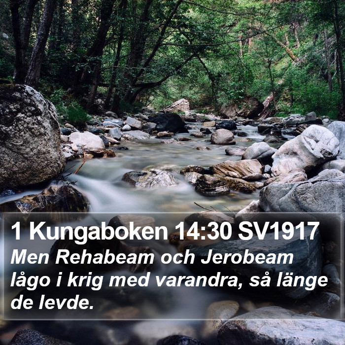 1 Kungaboken 14:30 SV1917 Bible Study