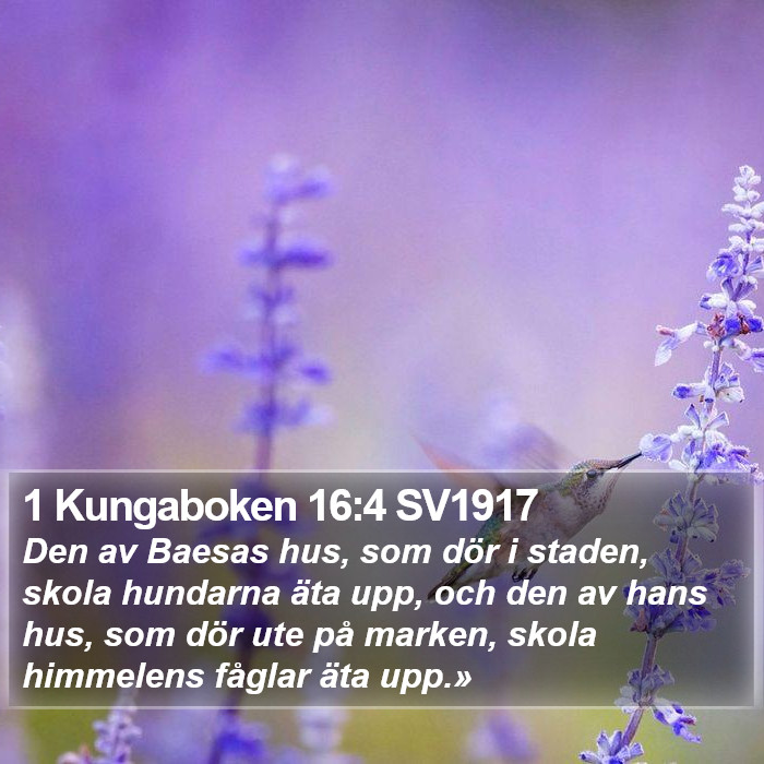 1 Kungaboken 16:4 SV1917 Bible Study