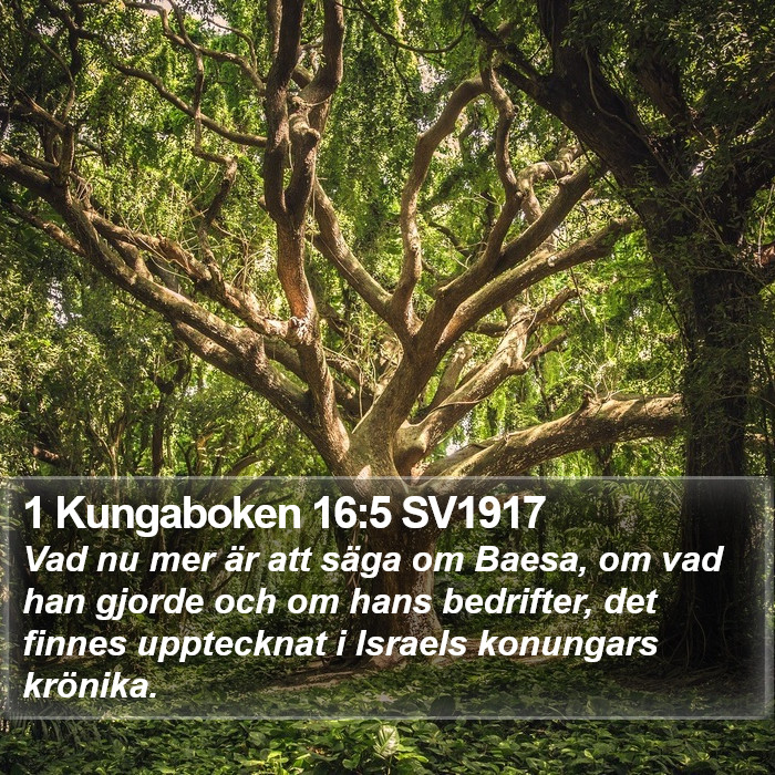 1 Kungaboken 16:5 SV1917 Bible Study