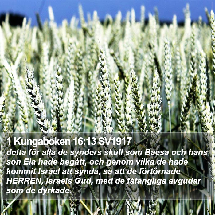 1 Kungaboken 16:13 SV1917 Bible Study