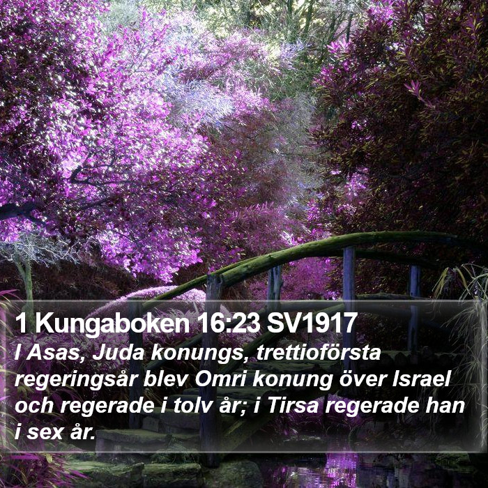 1 Kungaboken 16:23 SV1917 Bible Study