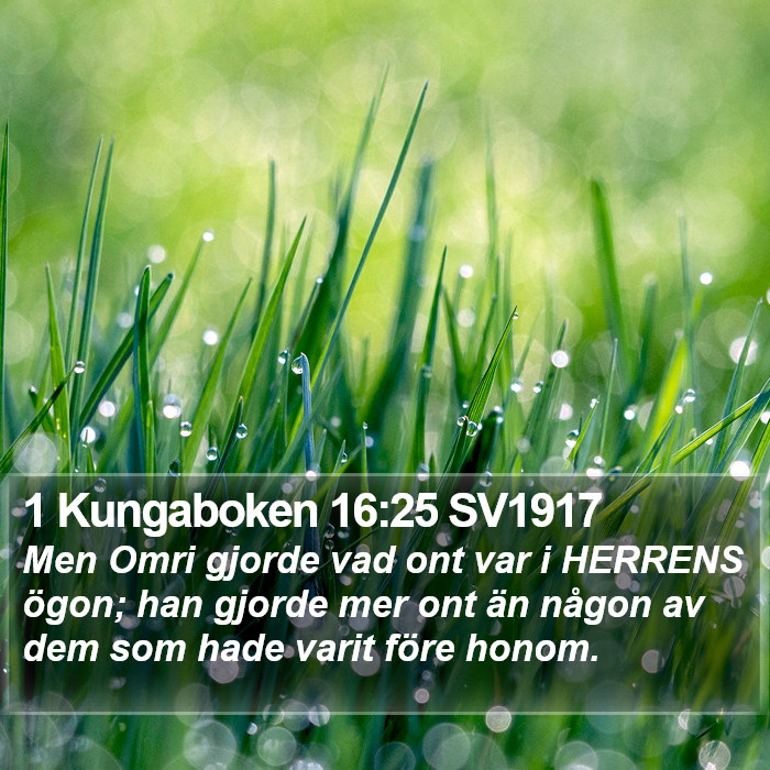 1 Kungaboken 16:25 SV1917 Bible Study