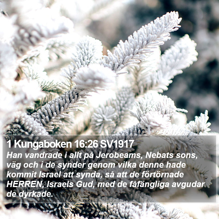 1 Kungaboken 16:26 SV1917 Bible Study