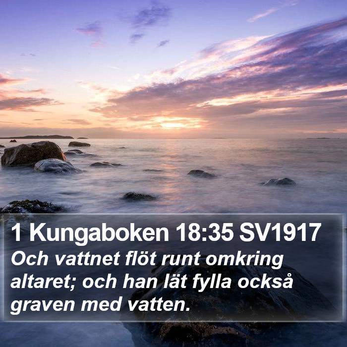 1 Kungaboken 18:35 SV1917 Bible Study