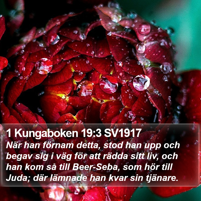 1 Kungaboken 19:3 SV1917 Bible Study