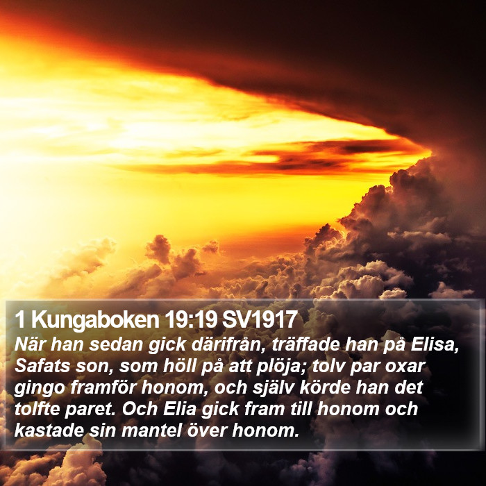 1 Kungaboken 19:19 SV1917 Bible Study