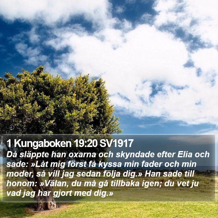 1 Kungaboken 19:20 SV1917 Bible Study