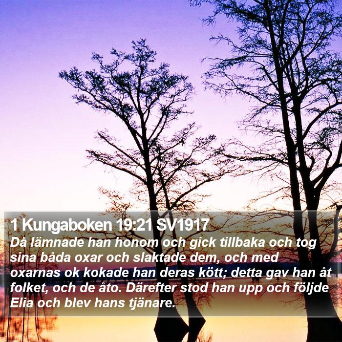 1 Kungaboken 19:21 SV1917 Bible Study