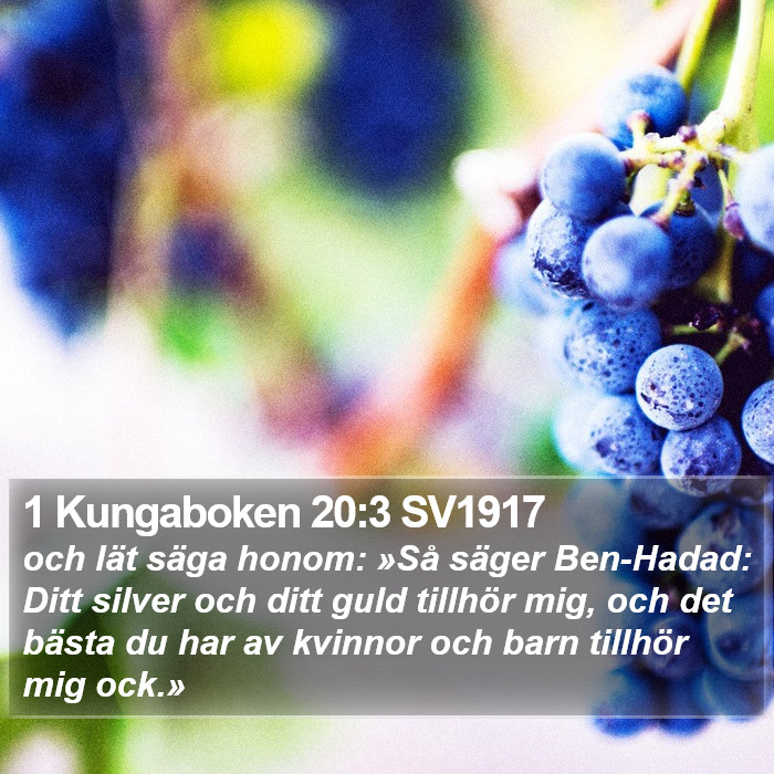 1 Kungaboken 20:3 SV1917 Bible Study