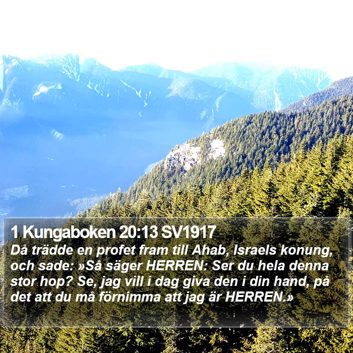 1 Kungaboken 20:13 SV1917 Bible Study