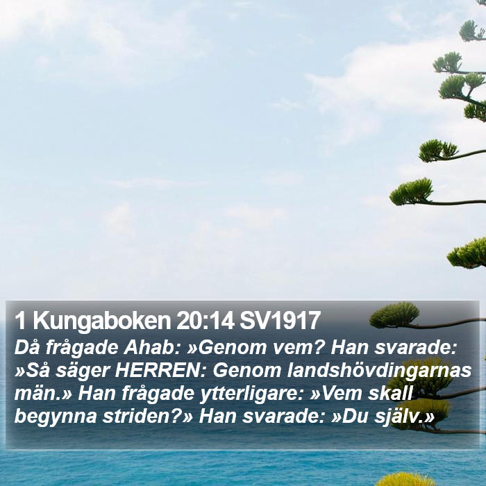 1 Kungaboken 20:14 SV1917 Bible Study