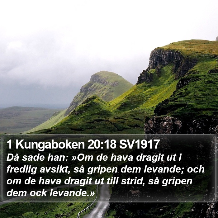 1 Kungaboken 20:18 SV1917 Bible Study