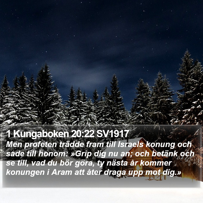 1 Kungaboken 20:22 SV1917 Bible Study