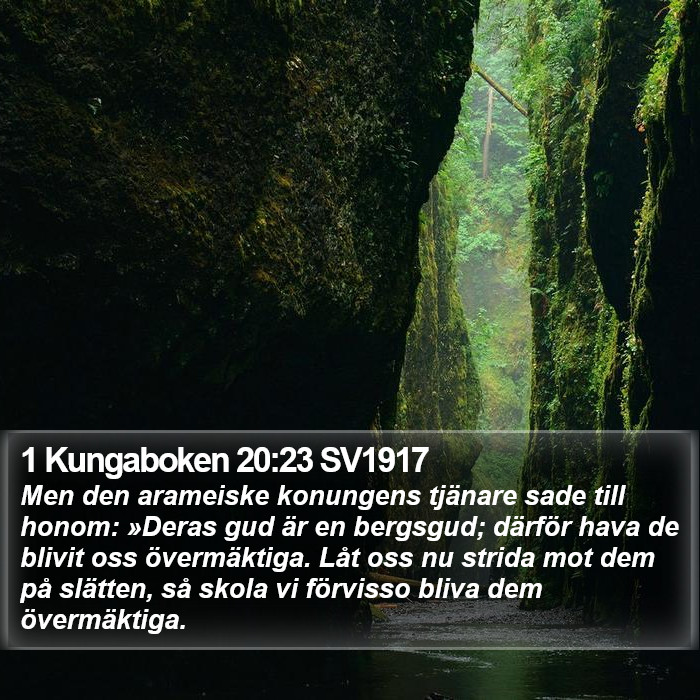 1 Kungaboken 20:23 SV1917 Bible Study