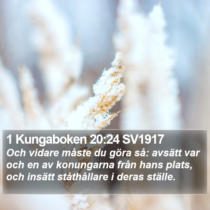 1 Kungaboken 20:24 SV1917 Bible Study