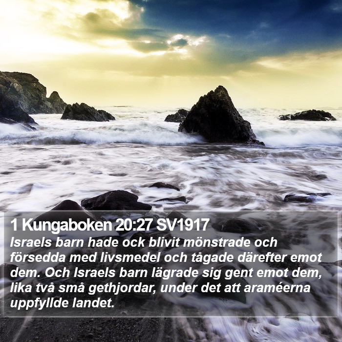 1 Kungaboken 20:27 SV1917 Bible Study