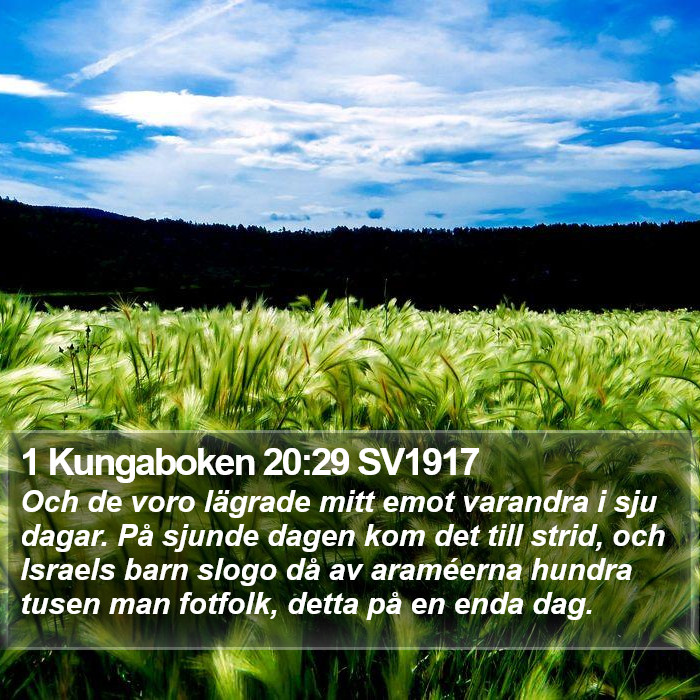 1 Kungaboken 20:29 SV1917 Bible Study