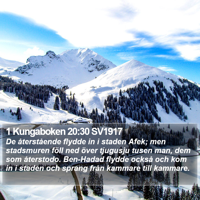 1 Kungaboken 20:30 SV1917 Bible Study