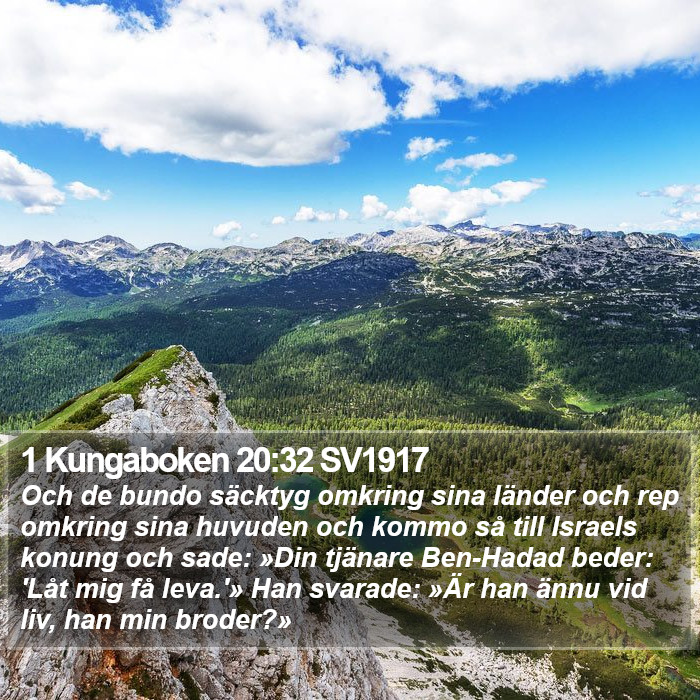 1 Kungaboken 20:32 SV1917 Bible Study