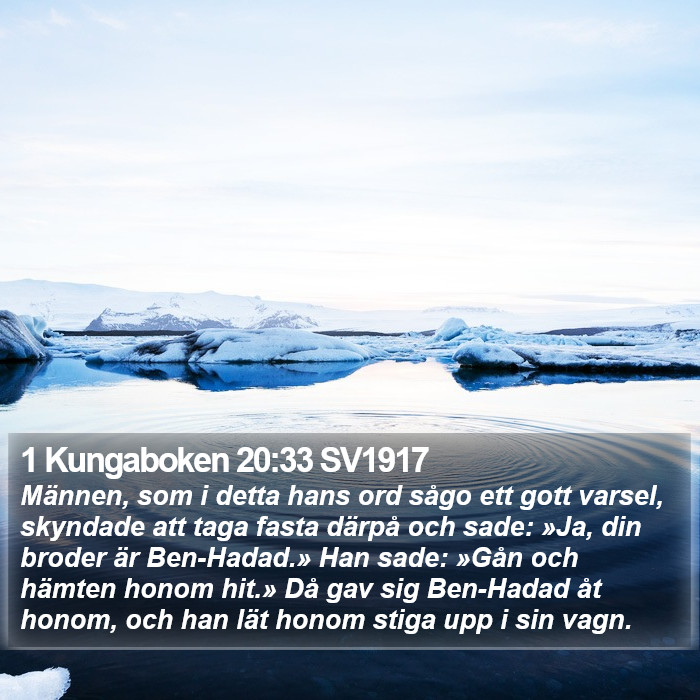1 Kungaboken 20:33 SV1917 Bible Study