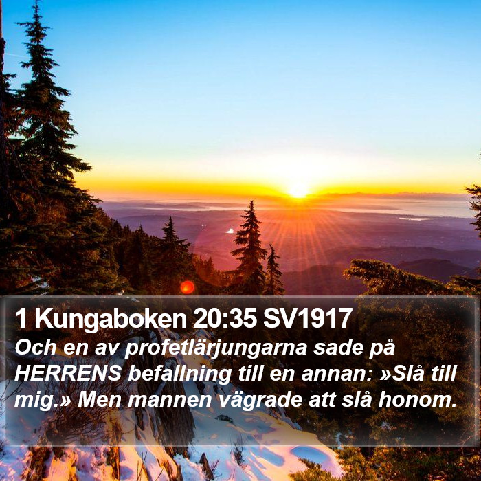 1 Kungaboken 20:35 SV1917 Bible Study
