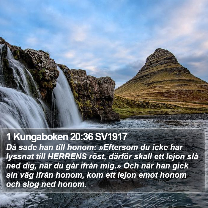 1 Kungaboken 20:36 SV1917 Bible Study