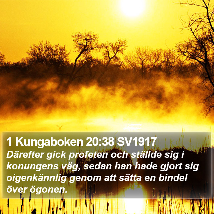 1 Kungaboken 20:38 SV1917 Bible Study