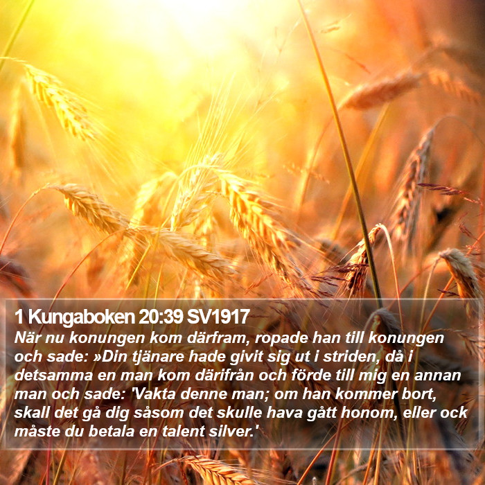 1 Kungaboken 20:39 SV1917 Bible Study