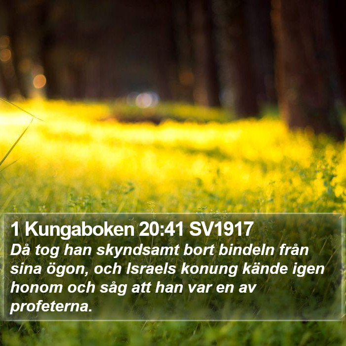 1 Kungaboken 20:41 SV1917 Bible Study
