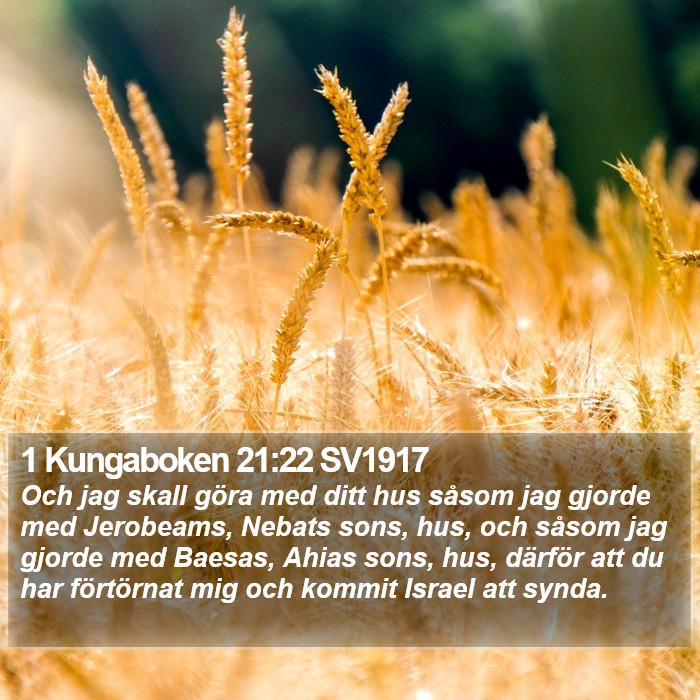 1 Kungaboken 21:22 SV1917 Bible Study