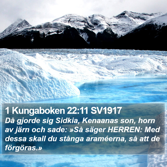 1 Kungaboken 22:11 SV1917 Bible Study