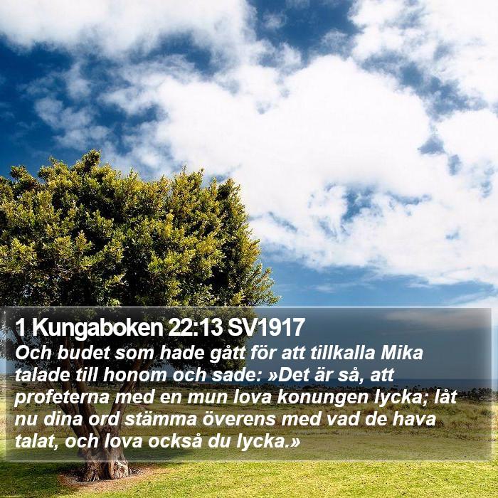 1 Kungaboken 22:13 SV1917 Bible Study