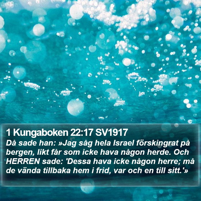 1 Kungaboken 22:17 SV1917 Bible Study