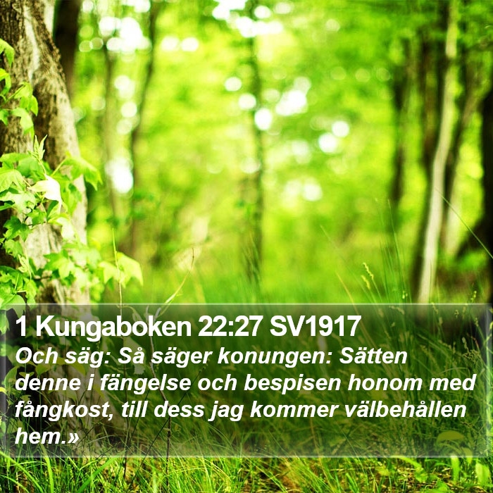 1 Kungaboken 22:27 SV1917 Bible Study
