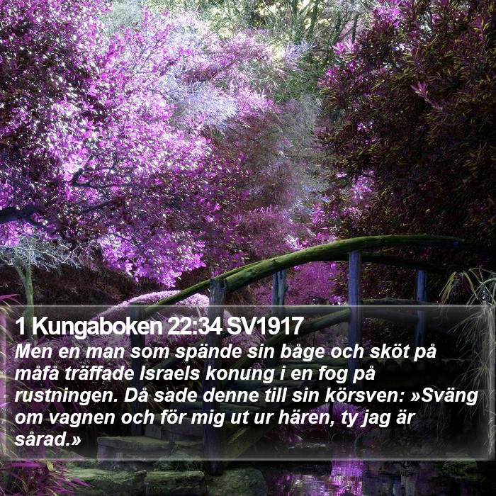 1 Kungaboken 22:34 SV1917 Bible Study