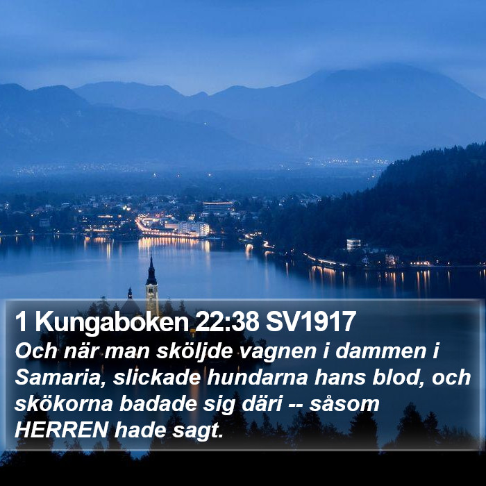 1 Kungaboken 22:38 SV1917 Bible Study
