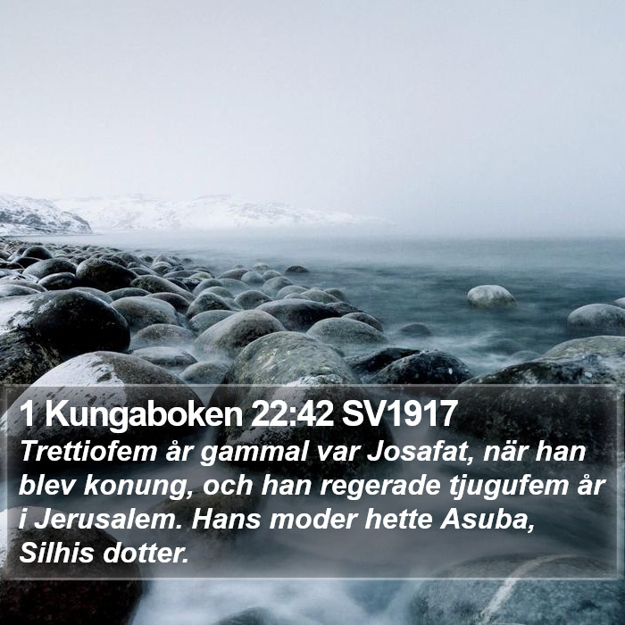 1 Kungaboken 22:42 SV1917 Bible Study