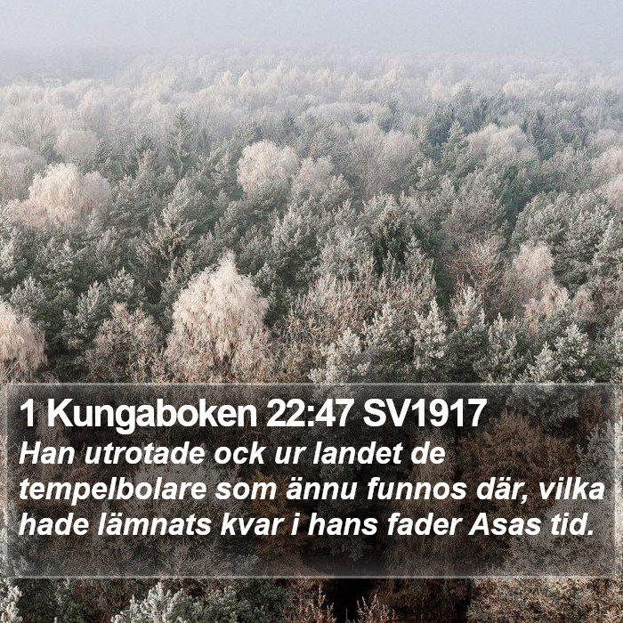 1 Kungaboken 22:47 SV1917 Bible Study