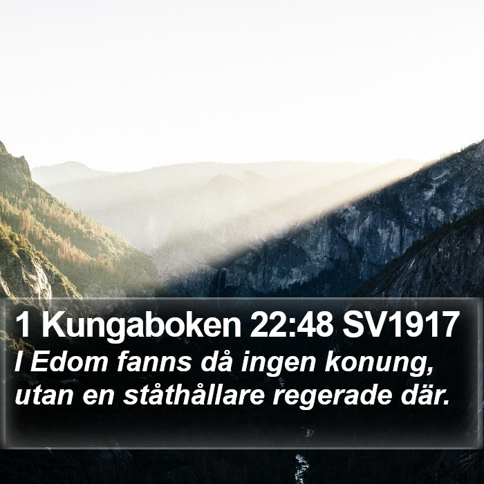 1 Kungaboken 22:48 SV1917 Bible Study