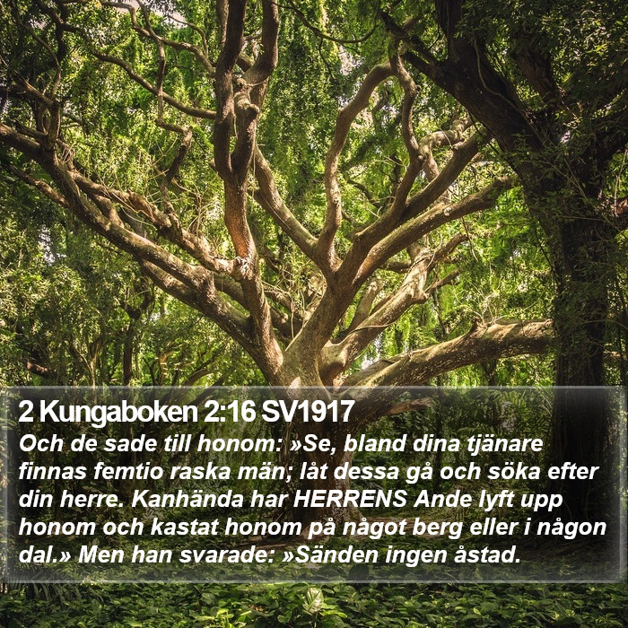 2 Kungaboken 2:16 SV1917 Bible Study