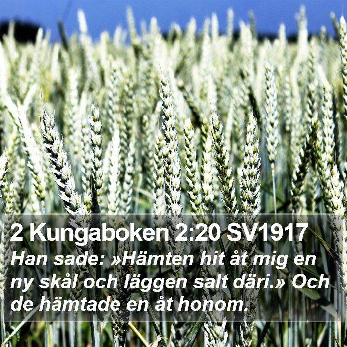 2 Kungaboken 2:20 SV1917 Bible Study