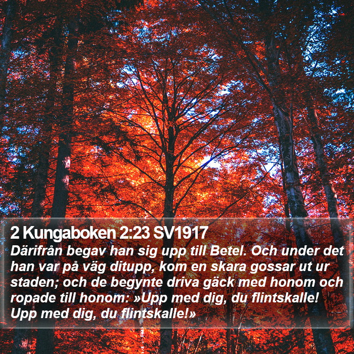 2 Kungaboken 2:23 SV1917 Bible Study