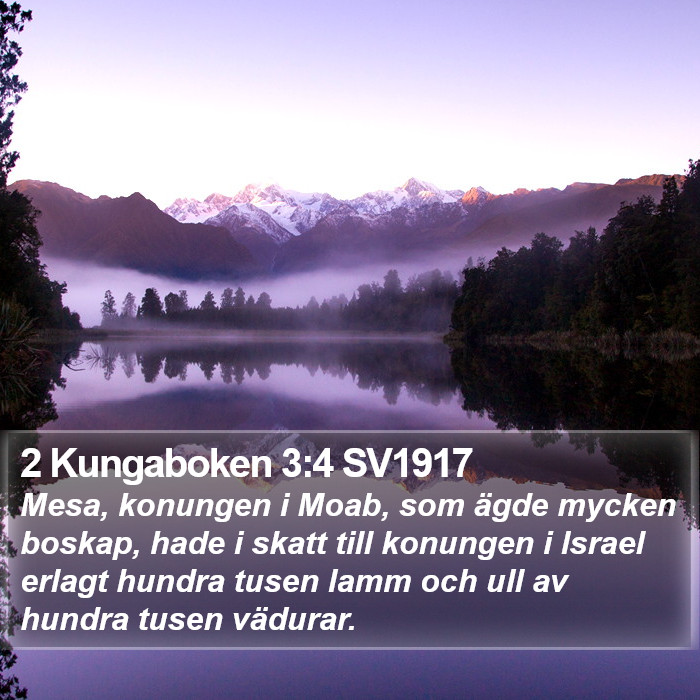 2 Kungaboken 3:4 SV1917 Bible Study