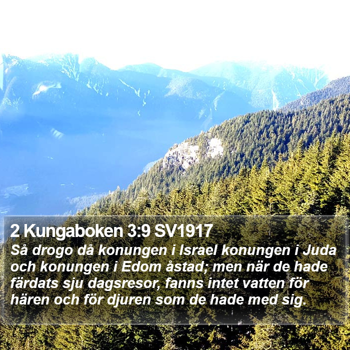 2 Kungaboken 3:9 SV1917 Bible Study