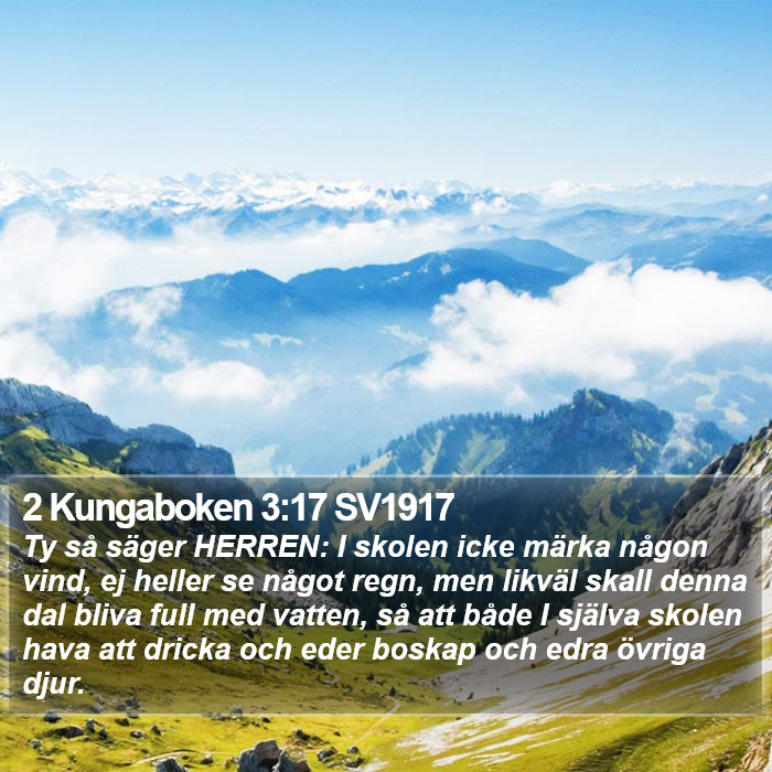 2 Kungaboken 3:17 SV1917 Bible Study