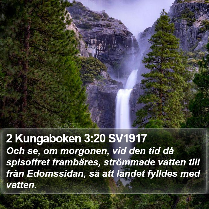 2 Kungaboken 3:20 SV1917 Bible Study