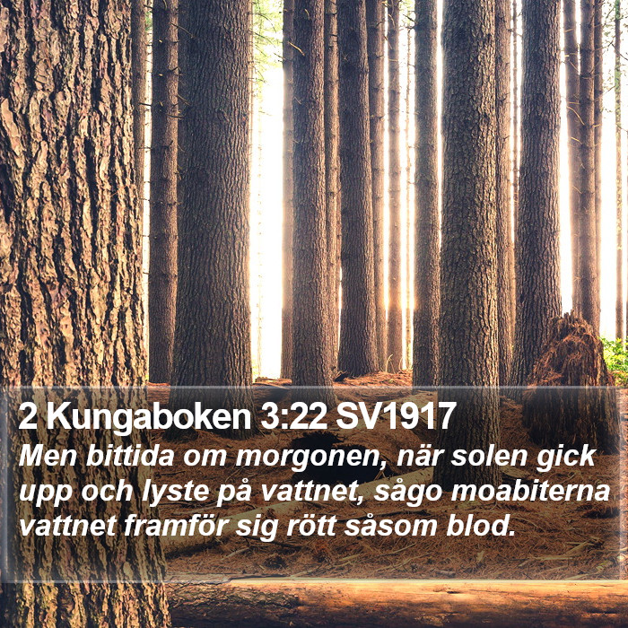 2 Kungaboken 3:22 SV1917 Bible Study