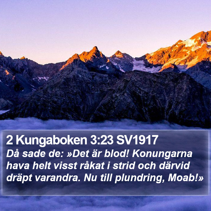 2 Kungaboken 3:23 SV1917 Bible Study