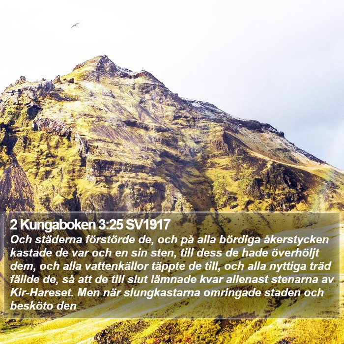 2 Kungaboken 3:25 SV1917 Bible Study